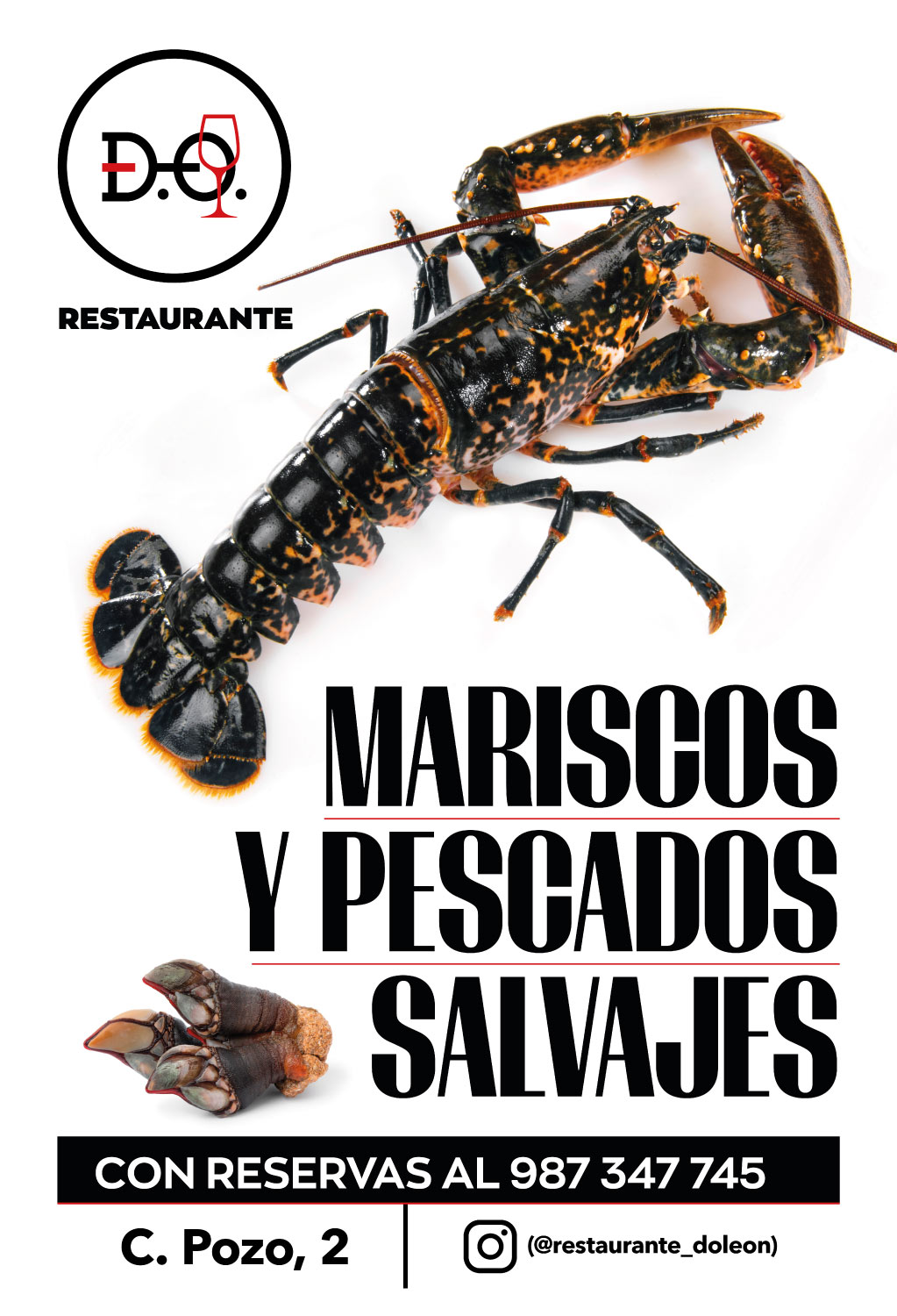 Jornadas gastronómicas en León de marisco y pescados salvajes